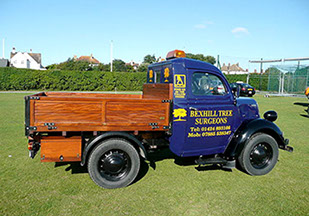 bexhill tree surgeons