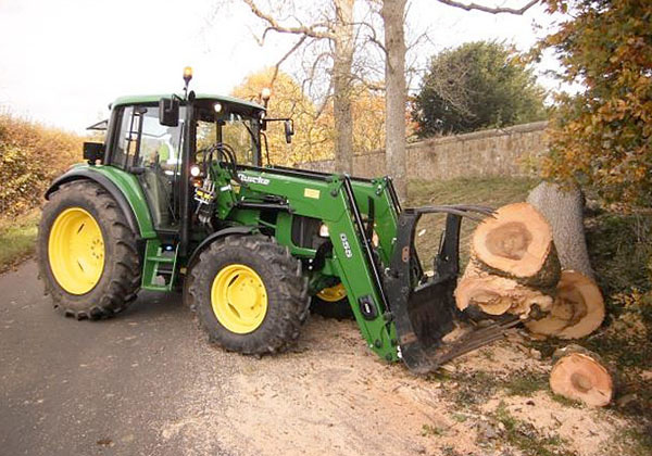 tree removal by bexhill tree surgeons