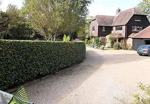hedge trimming by bexhill tree surgeons