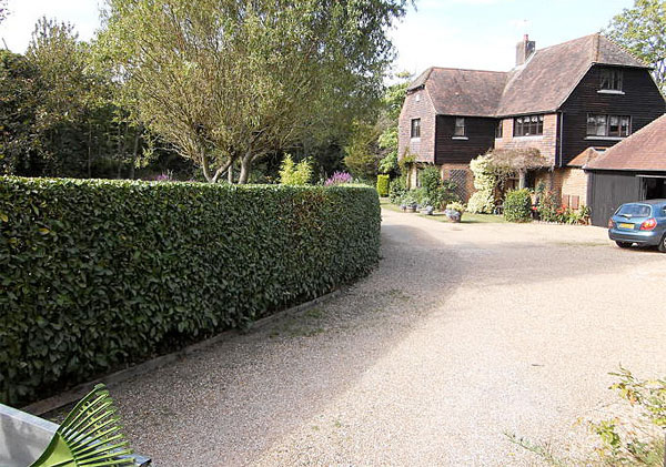 Hedge trimming by bexhill tree surgeons